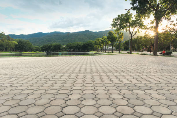 Best Driveway Paving Contractor  in Watauga, TX